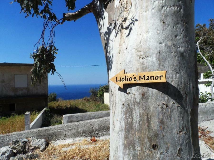 Agalianos Liolio'S Manorヴィラ エクステリア 写真